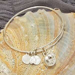 Alex & Ani silver charm bangle bracelet with white/clear stone